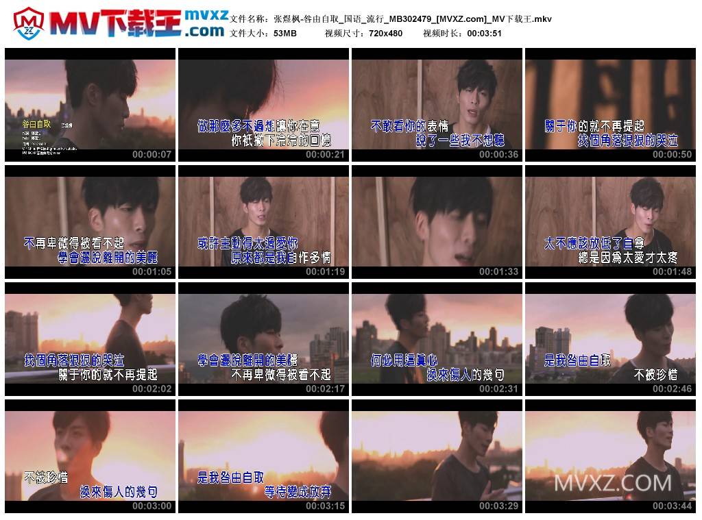 张煜枫-咎由自取_国语_流行_MB302479